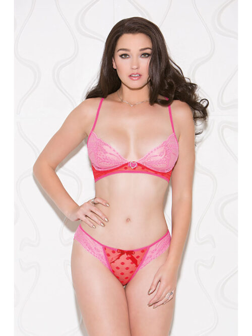 dot-mesh-and-lace-bra-set-one-size-pink-red-img1
